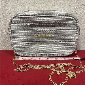 Chanel Cosmetic Metallic Bag